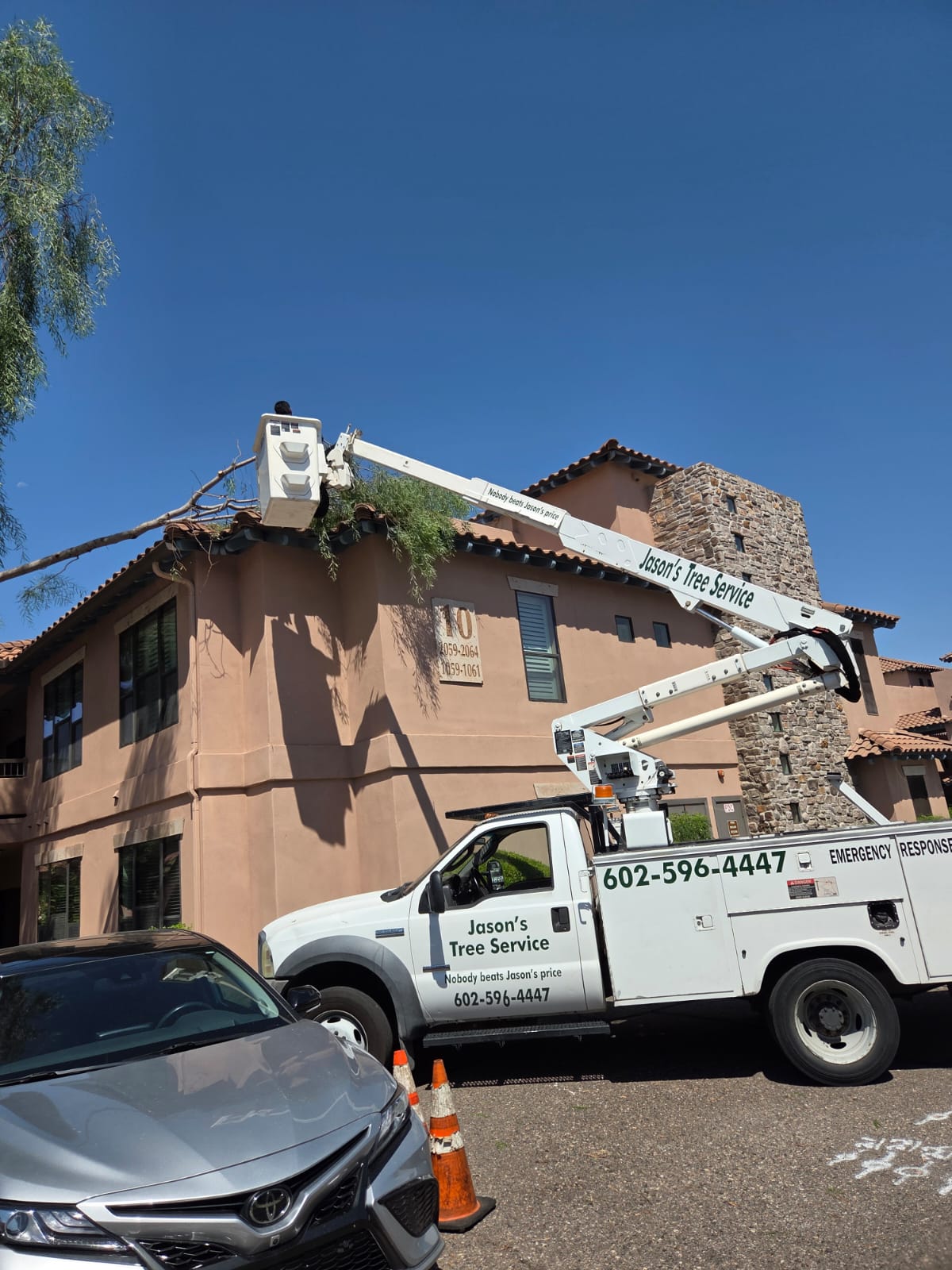 Arizona Tree Works Team